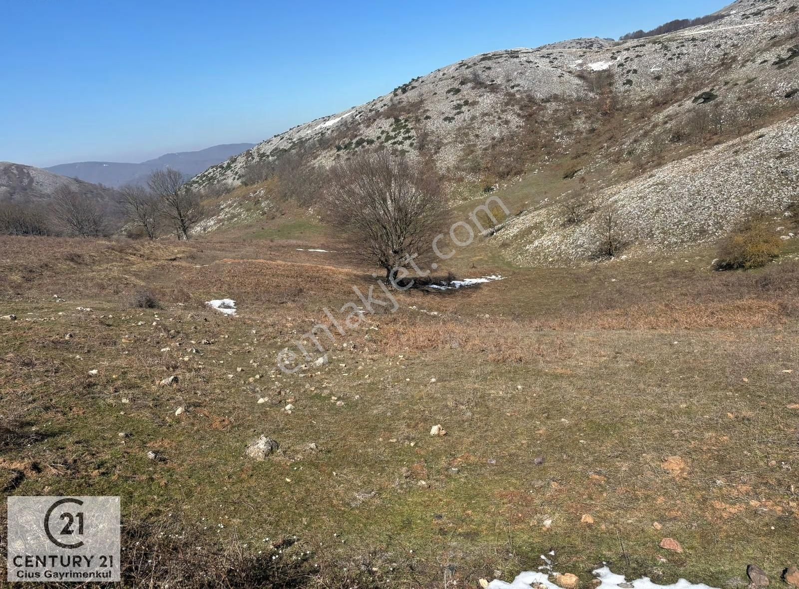 C21 Cius; Gemlik Şahinyurdu'nda En Uygun 6460m2 Tarla Satılık