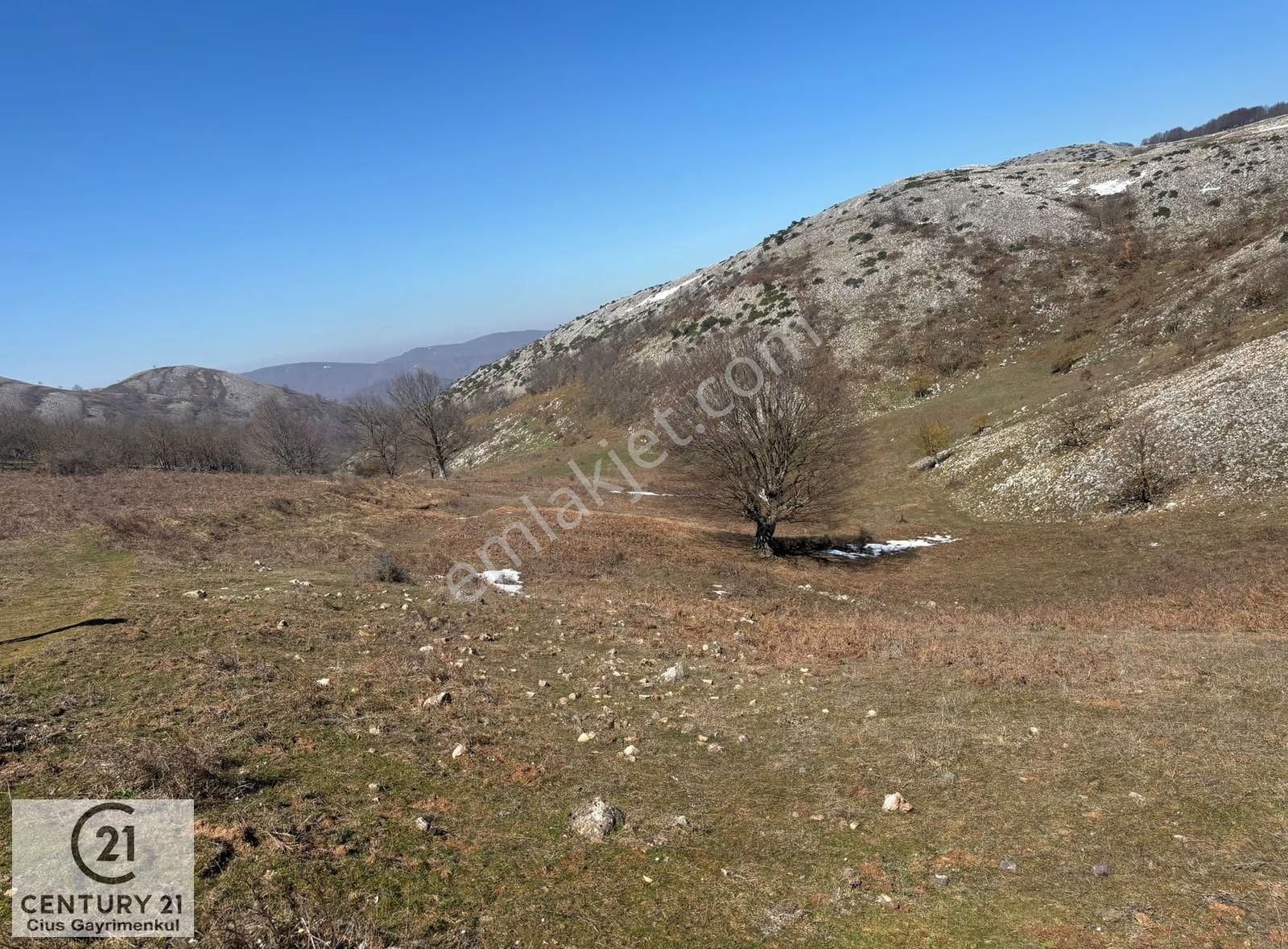 C21 Cius; Gemlik Şahinyurdu'nda En Uygun 6460m2 Tarla Satılık - Görsel 4