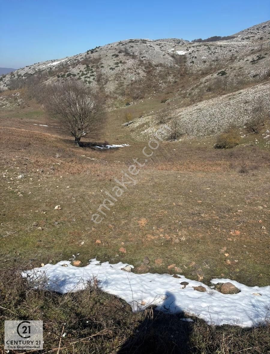 C21 Cius; Gemlik Şahinyurdu'nda En Uygun 6460m2 Tarla Satılık - Görsel 8
