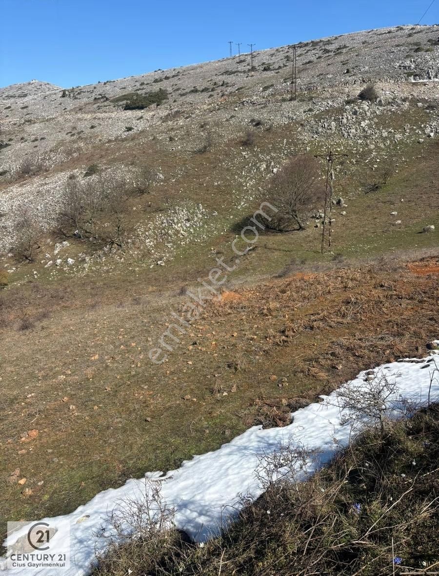 C21 Cius; Gemlik Şahinyurdu'nda En Uygun 6460m2 Tarla Satılık - Görsel 10