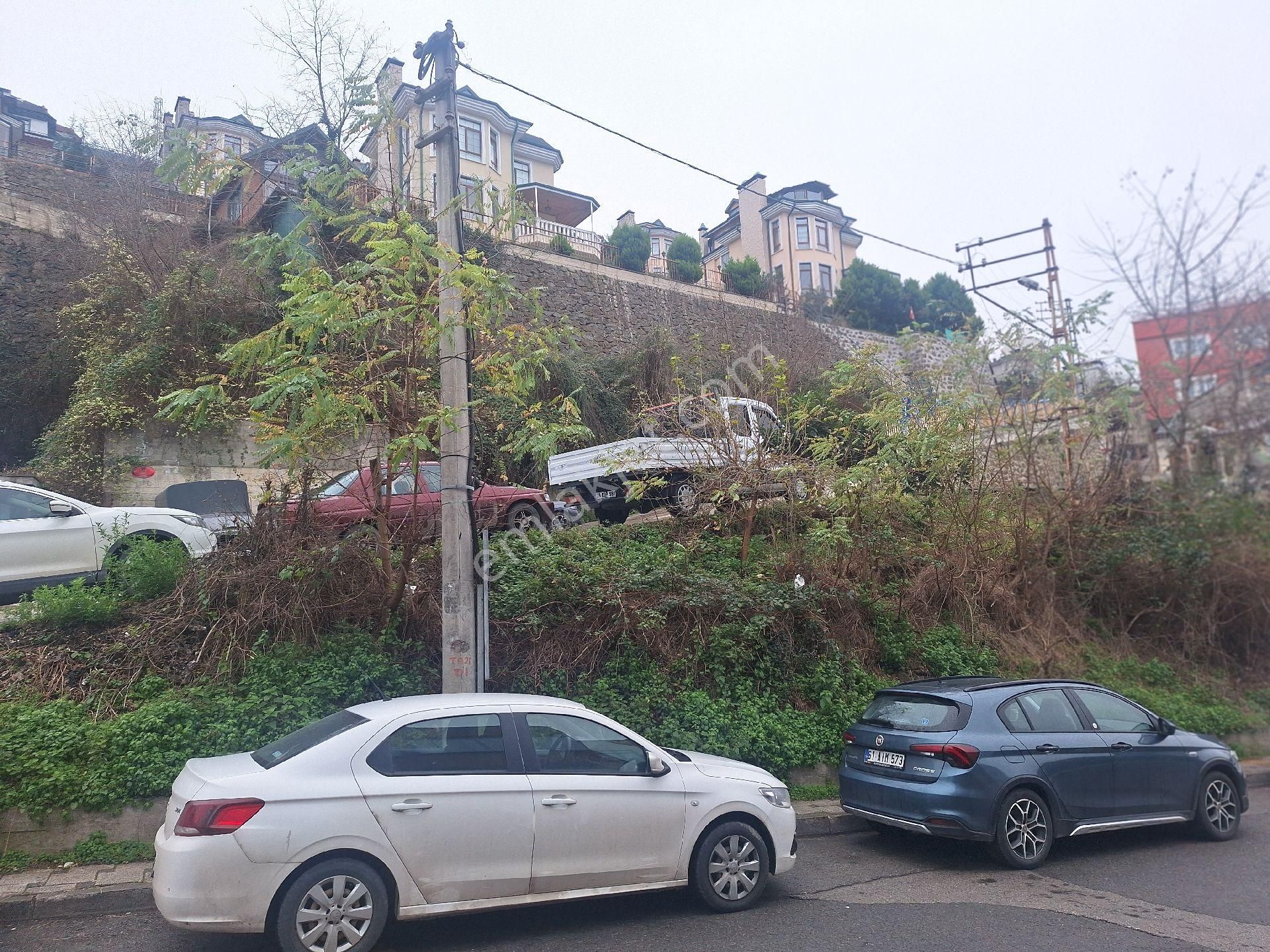 Şehir Ayaklarınızın Altında, Eviniz Boztepede - Görsel 5