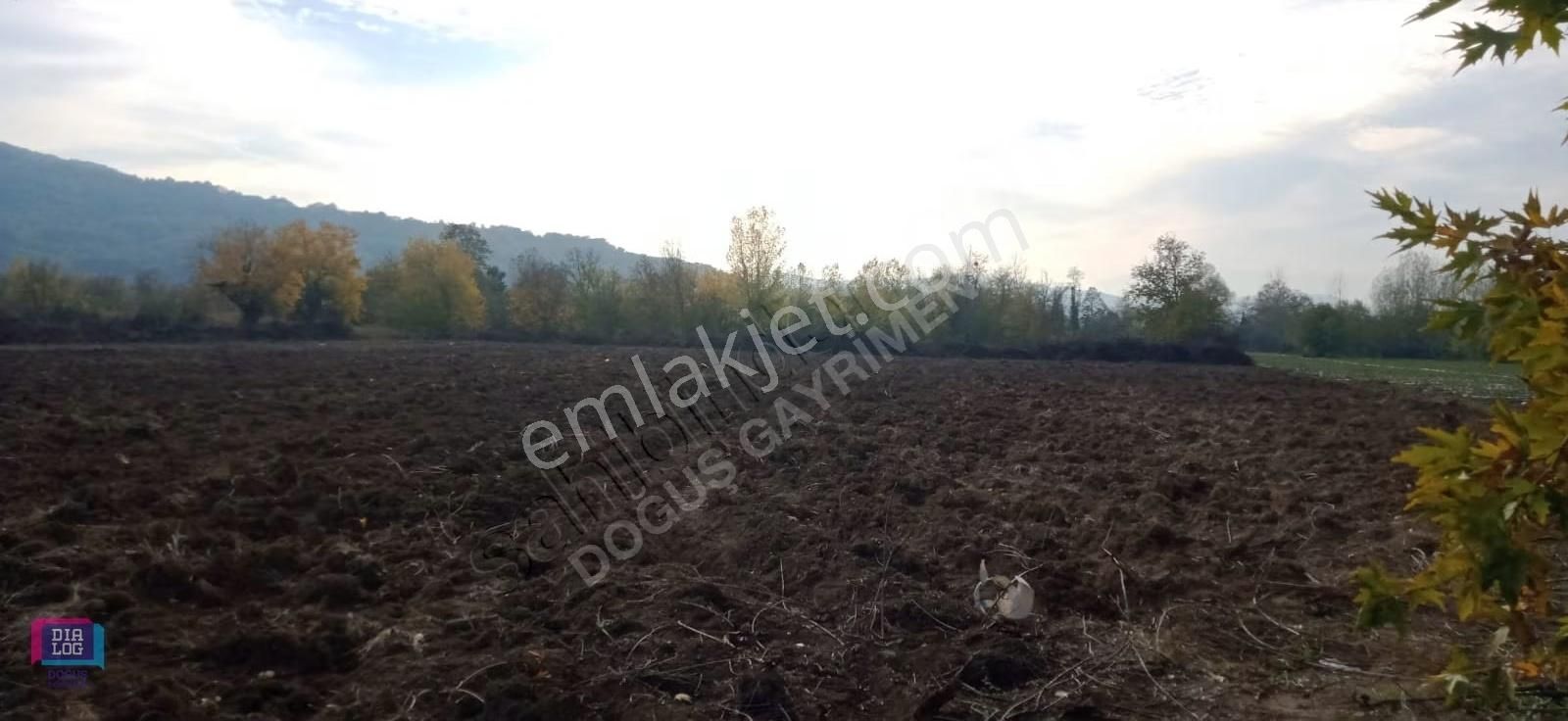 Bursa İnegöl Kurşunlu Da Çilek Bahçesi - Görsel 3