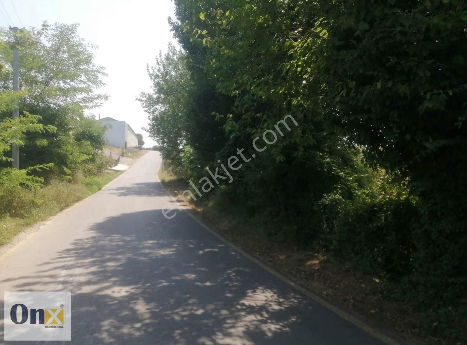 Asfalta 110 M Cepheli Ev Yapılabilen Satılık Fındık Bahçesi - Görsel 8