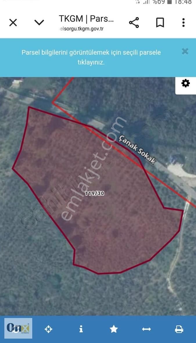 Asfalta 110 M Cepheli Ev Yapılabilen Satılık Fındık Bahçesi - Görsel 13