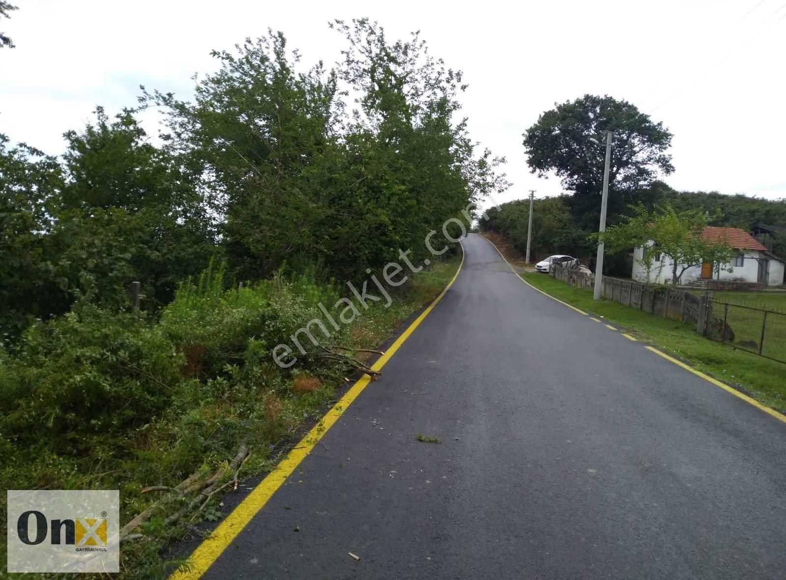 Asfalta 110 M Cepheli Ev Yapılabilen Satılık Fındık Bahçesi - Görsel 14