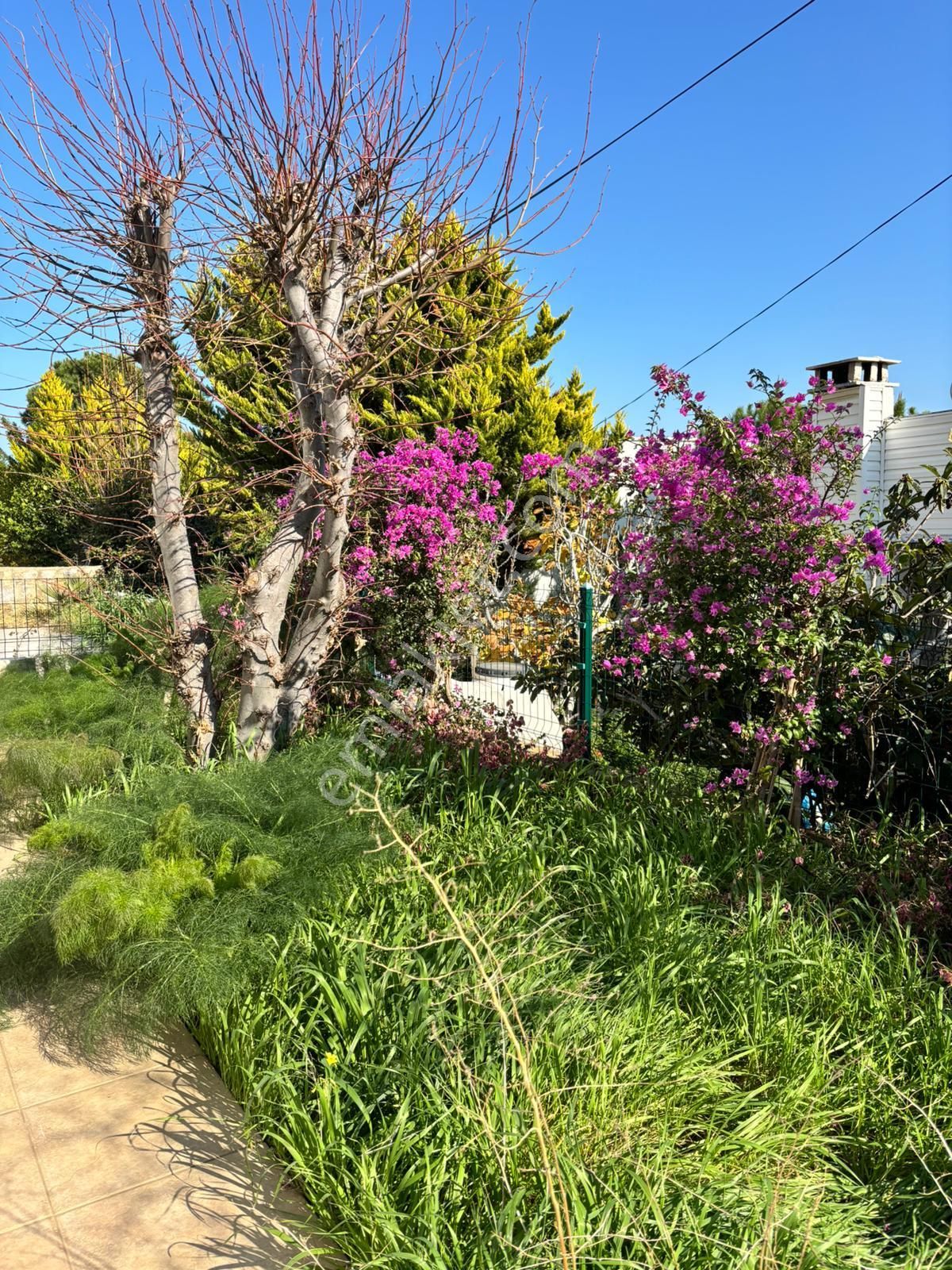 Bodrum Kadıkalesi Ormancılar Sitesi Satılık Tripleks Villa - Görsel 7