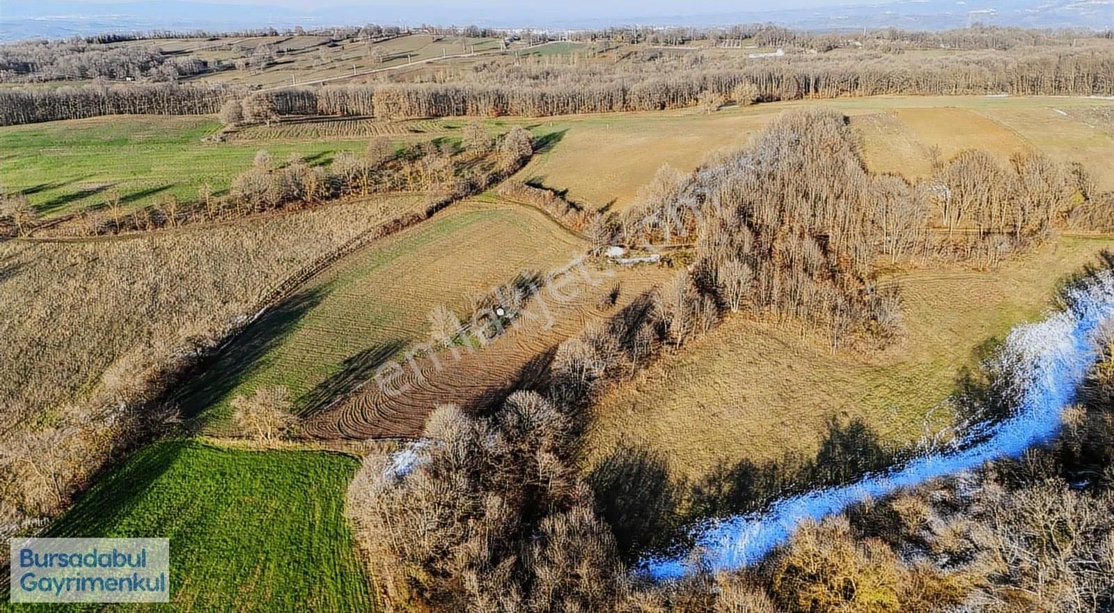 Bursadabul'dan Dallıca Mah. Kadastro Yollu Tarla 4.349.m2 - Görsel 9