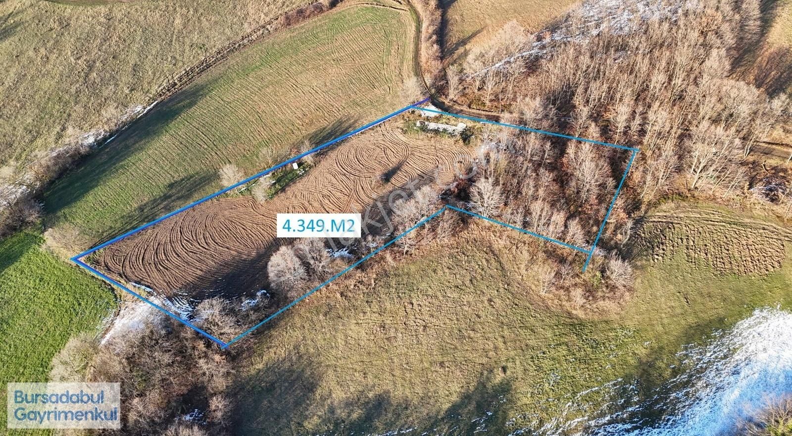 Bursadabul'dan Dallıca Mah. Kadastro Yollu Tarla 4.349.m2 - Görsel 8