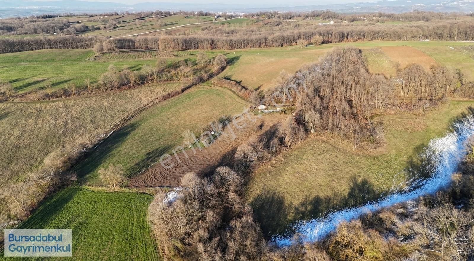 Bursadabul'dan Dallıca Mah. Kadastro Yollu Tarla 4.349.m2