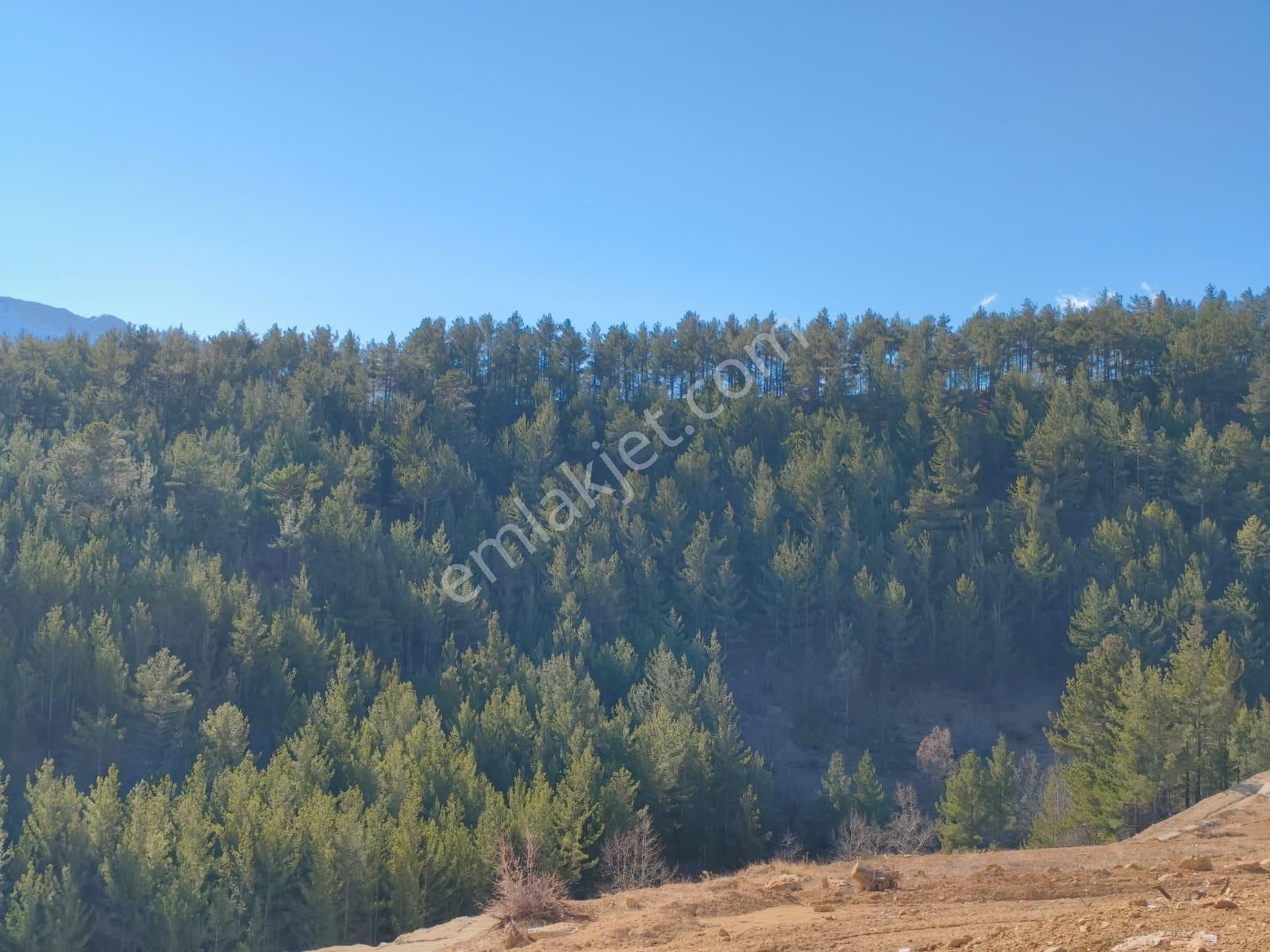 Kar Emlaktan Yenikonacık Körmenlik Mevkiinde 400 M2 Satılık Arsa - Görsel 2