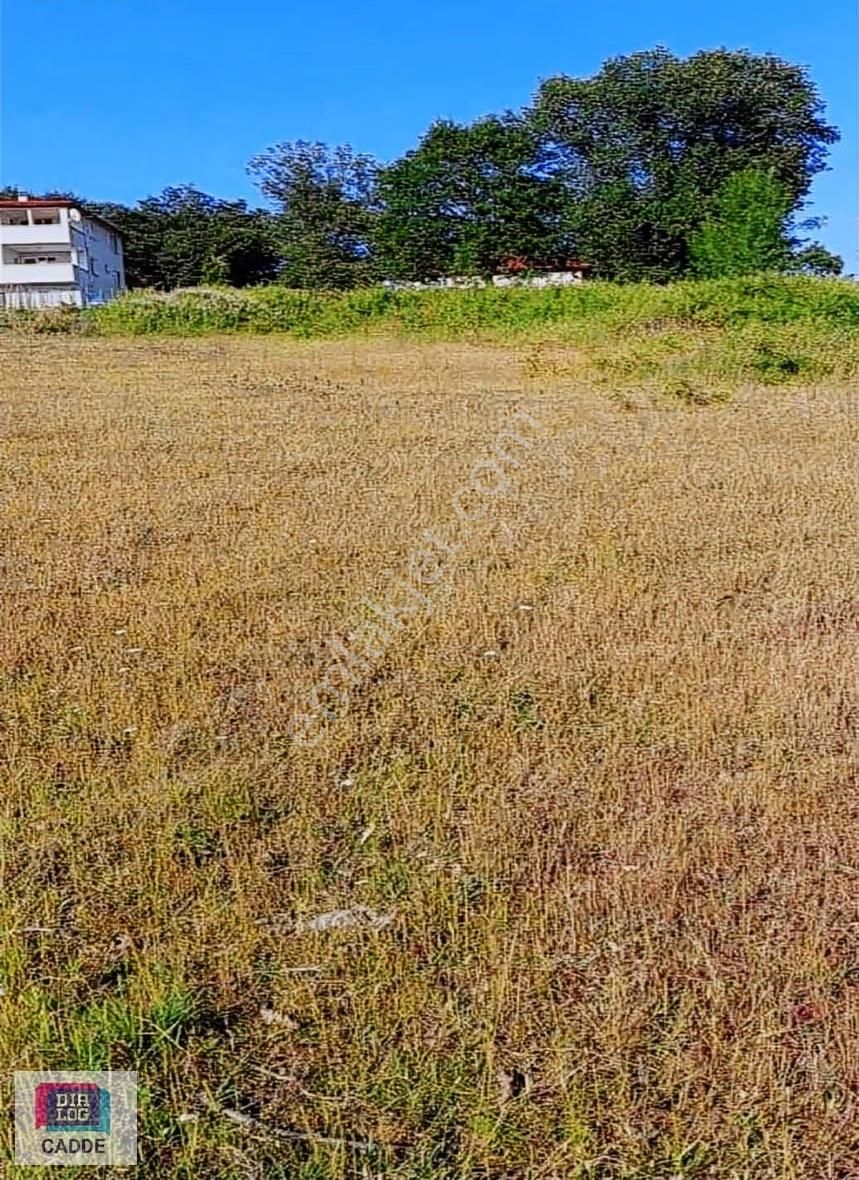 Kandıra Çamkonak'ta Yatırım Fırsatı Altyapılı Arsa - Görsel 2