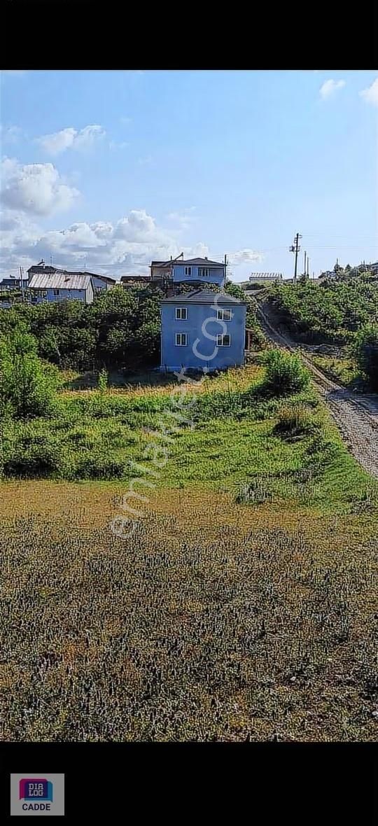 Kandıra Çamkonak'ta Yatırım Fırsatı Altyapılı Arsa