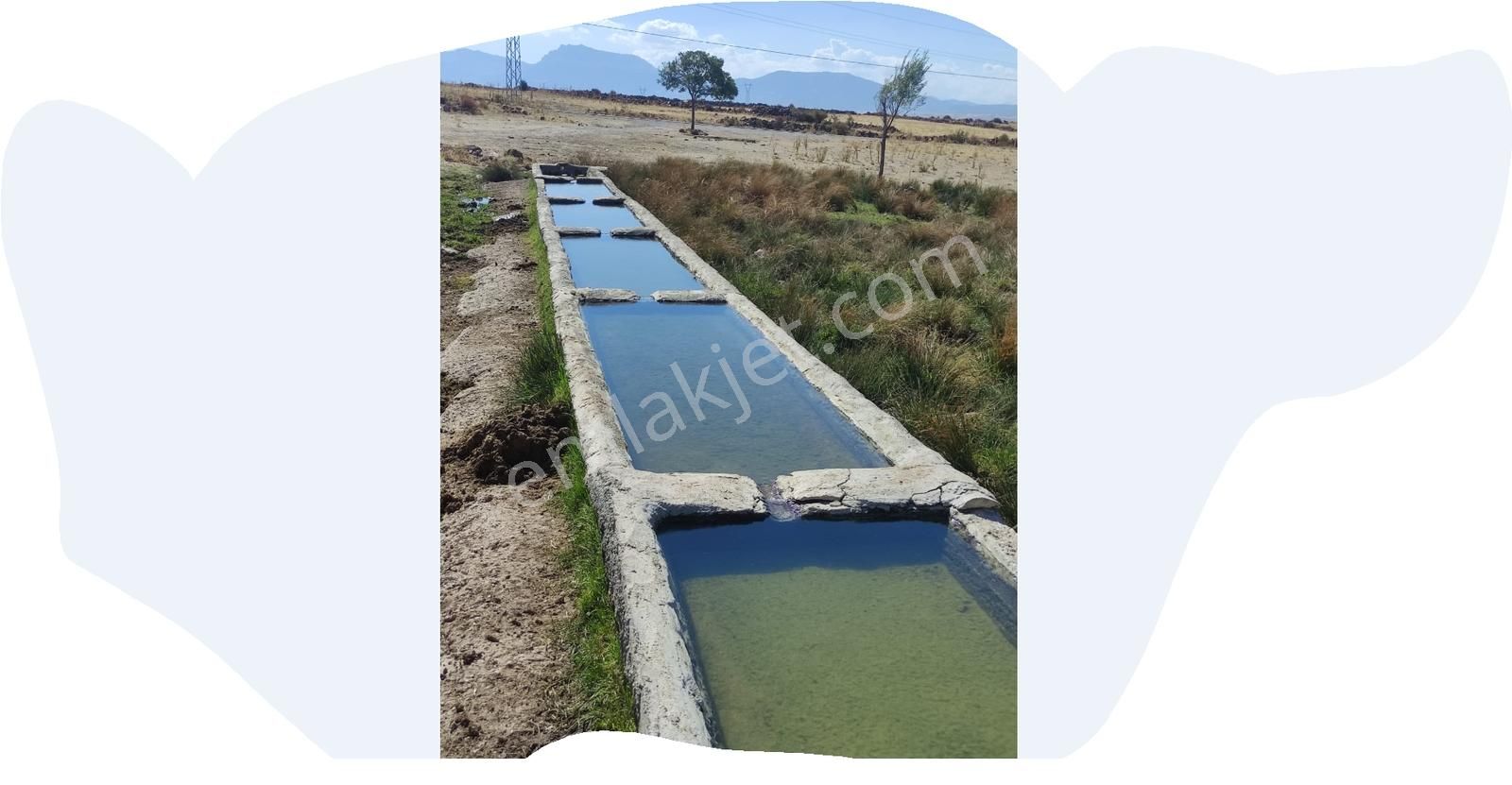 Özpınar ,dan Çavuş Satılık Tarla 10 572 M2 M2 Si 42,5 Tl ! - Görsel 11