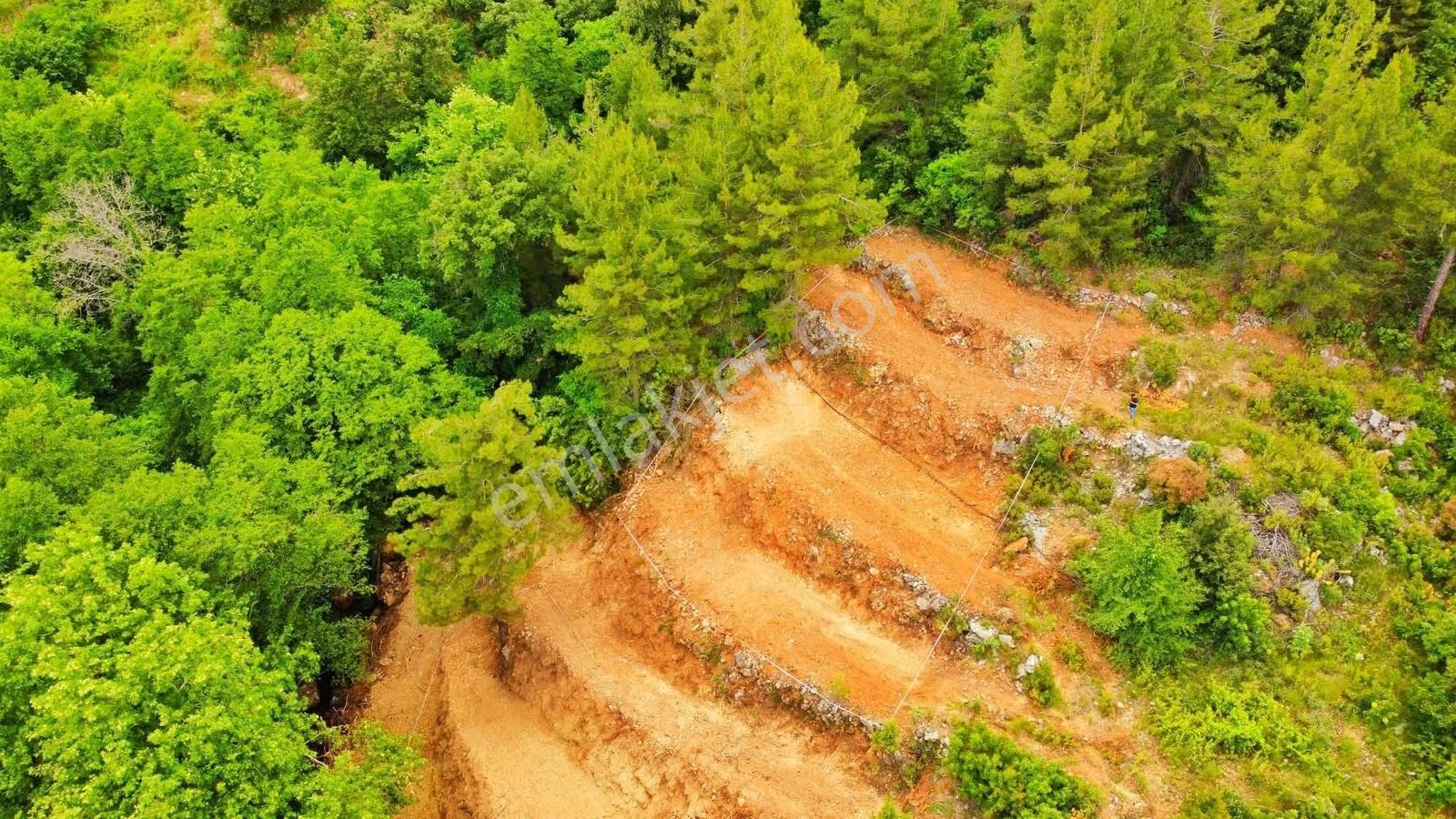 Hafriyatı Yapılı Masrafsız Uygun Fiyata Tarla - Görsel 24