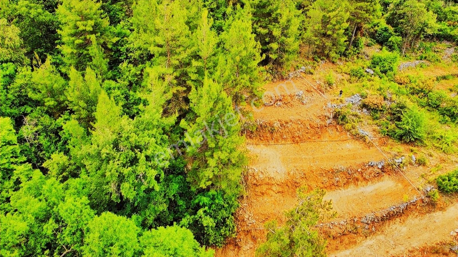 Hafriyatı Yapılı Masrafsız Uygun Fiyata Tarla