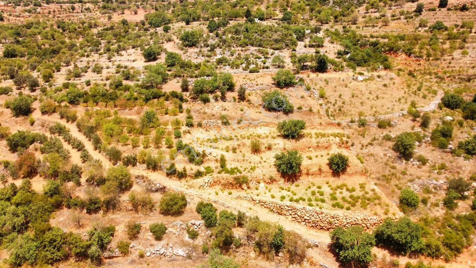 Doğa Ve Kısmi Deniz Manzaralı Satılık Fırsat Tarla - Görsel 25