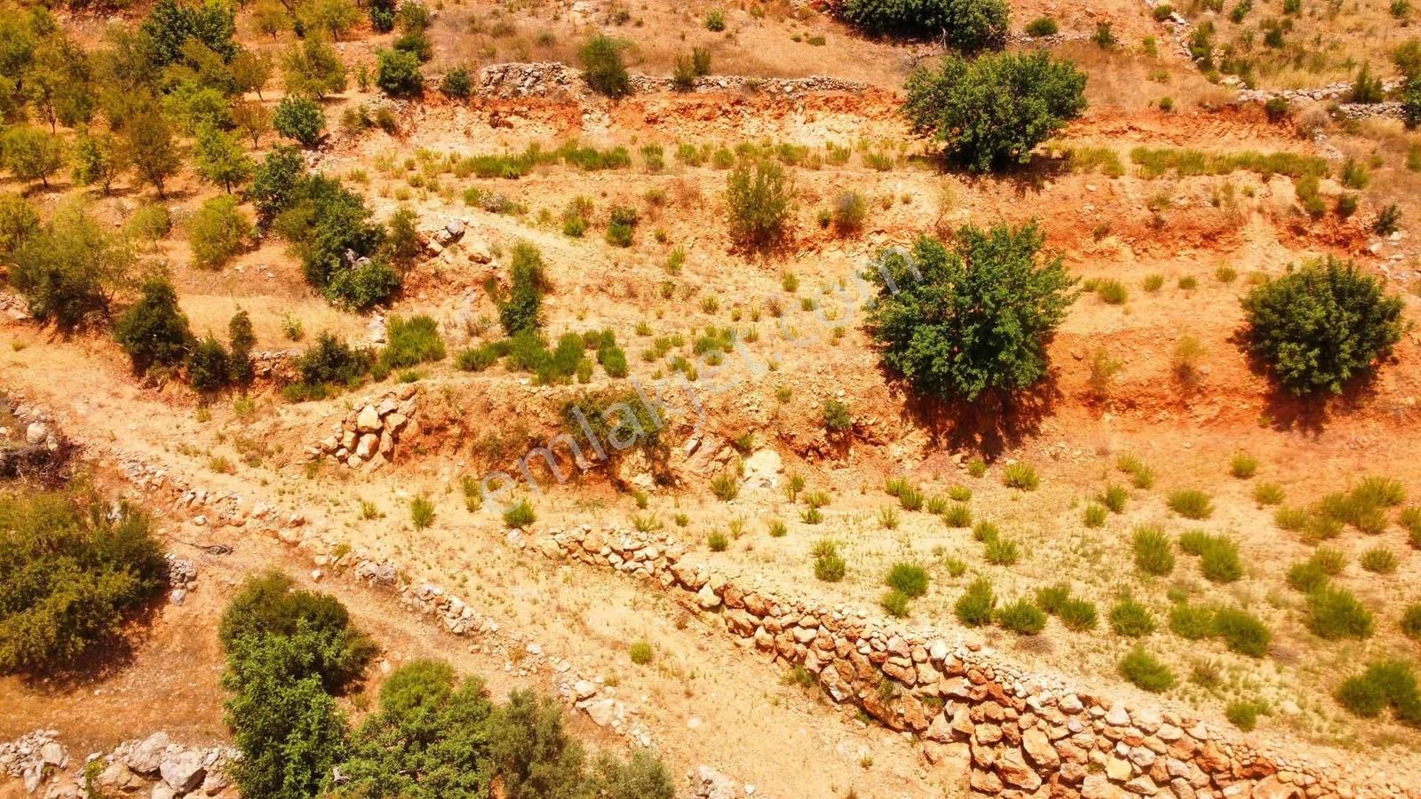 Doğa Ve Kısmi Deniz Manzaralı Satılık Fırsat Tarla - Görsel 23