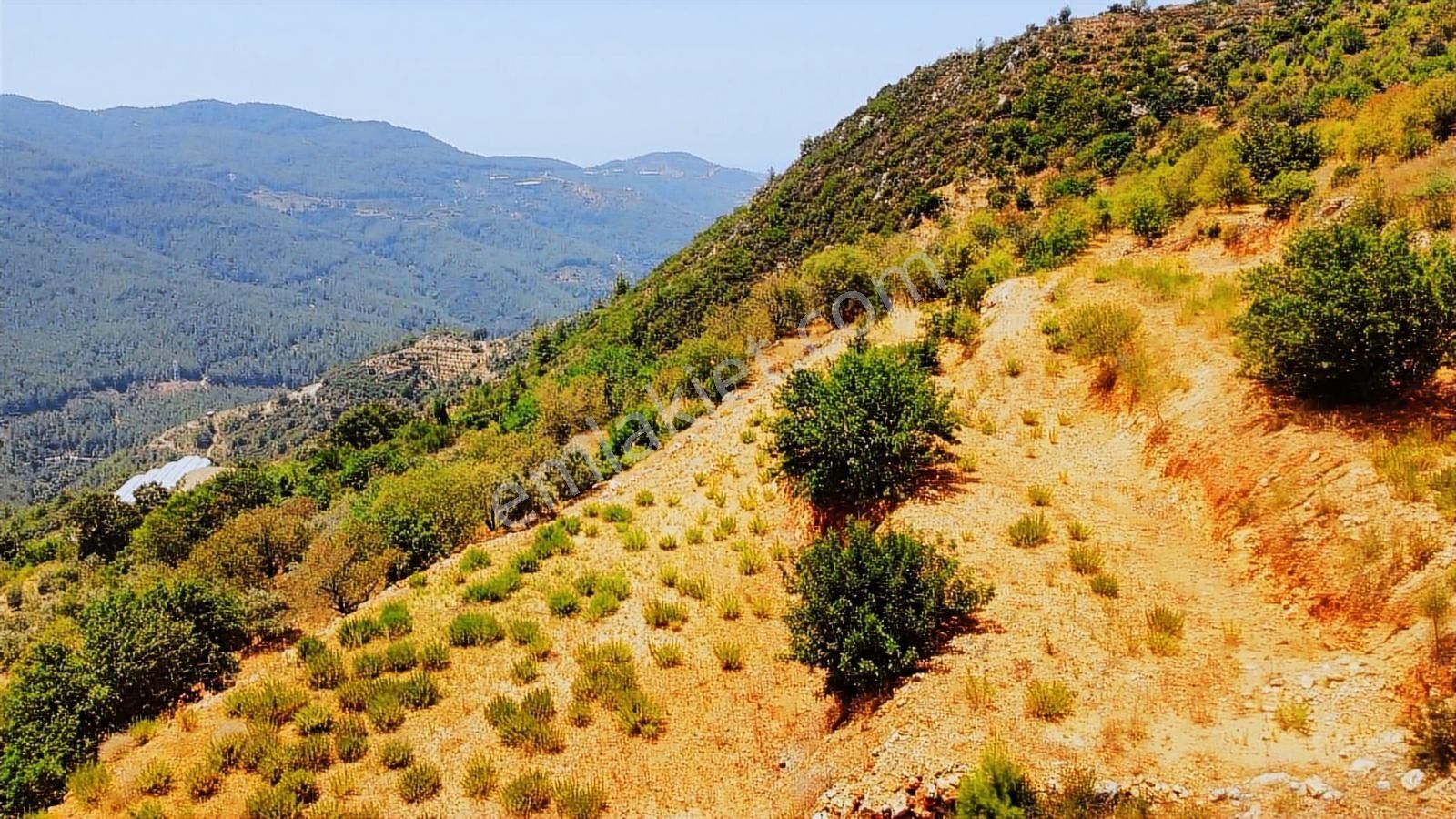 Doğa Ve Kısmi Deniz Manzaralı Satılık Fırsat Tarla - Görsel 5