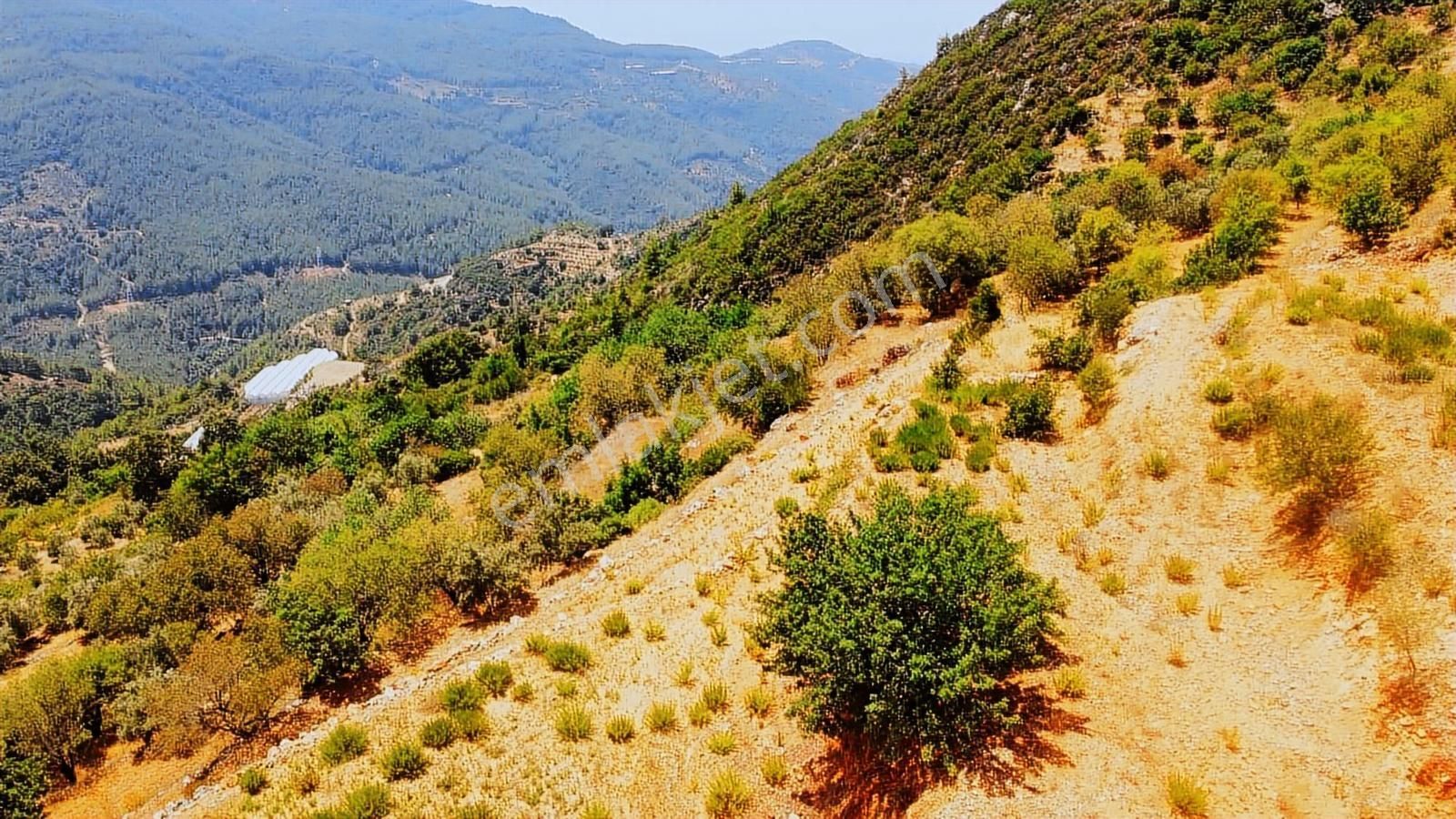 Doğa Ve Kısmi Deniz Manzaralı Satılık Fırsat Tarla - Görsel 4