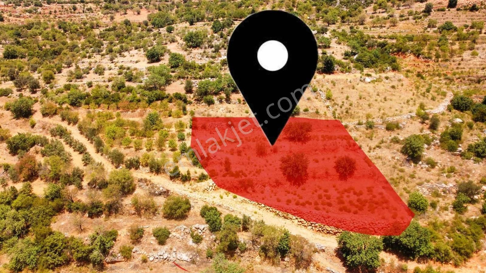 Doğa Ve Kısmi Deniz Manzaralı Satılık Fırsat Tarla