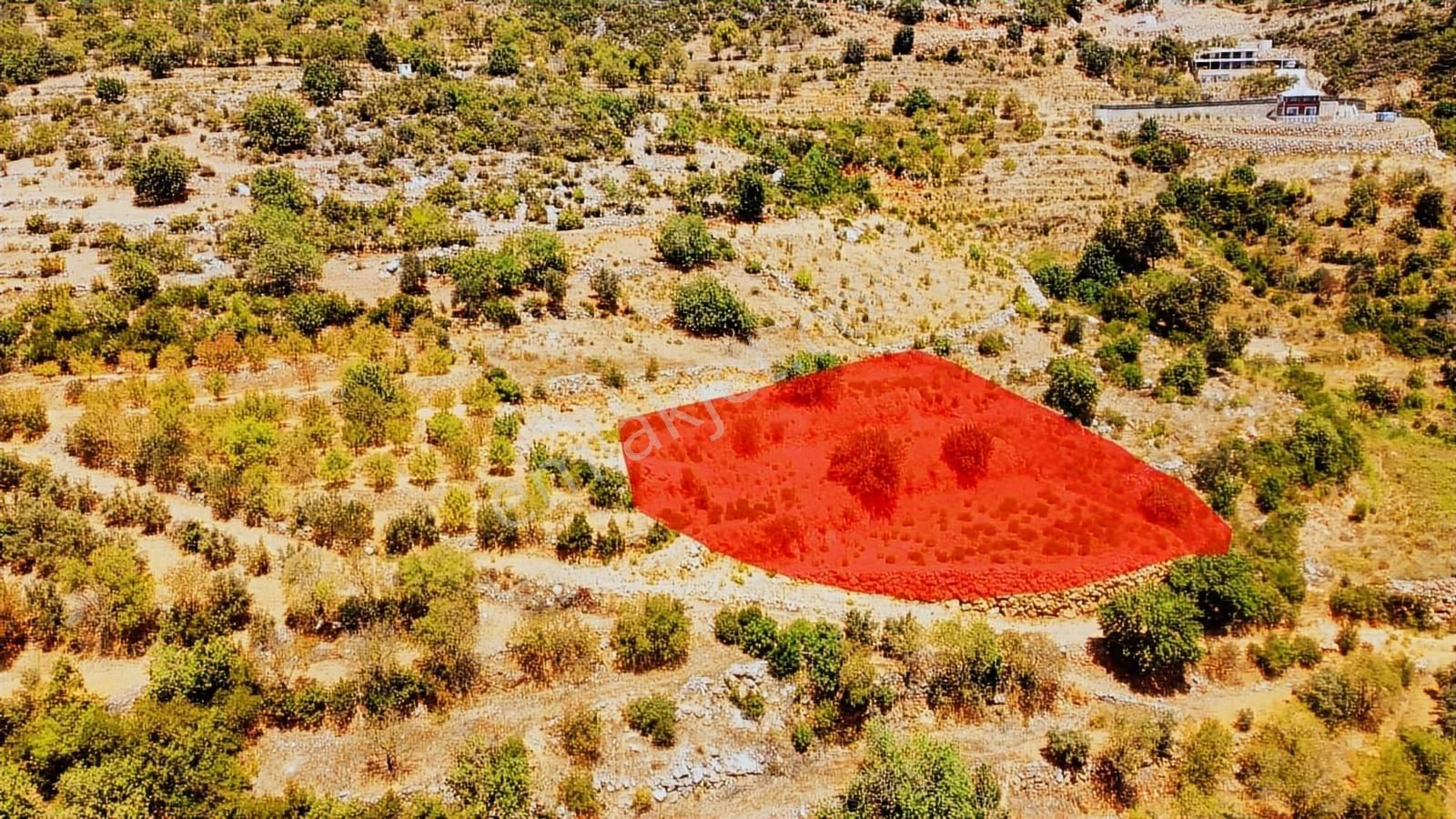 Doğa Ve Kısmi Deniz Manzaralı Satılık Fırsat Tarla - Görsel 20