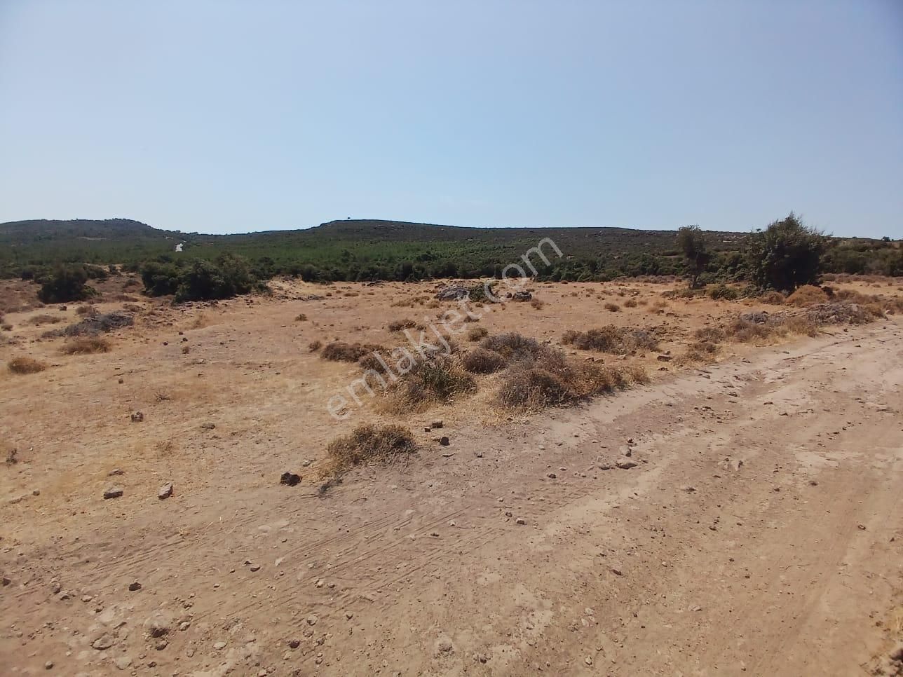 Eu Gayrimenkul'den 6032 Metrekare 30/60 İmarlı Arsa - Görsel 7