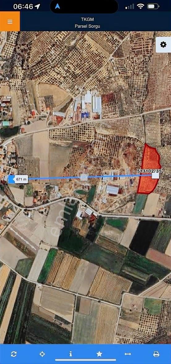 Foça Gerenköy'de Acil Satılık Tarla - Görsel 5