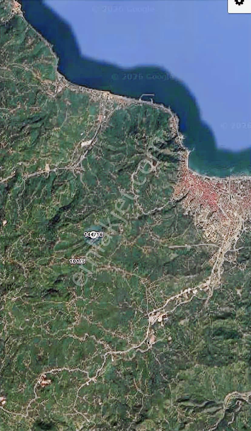 Safir'den Burhanettin'de 13.820m2 Fındık Bahçesi - Görsel 16