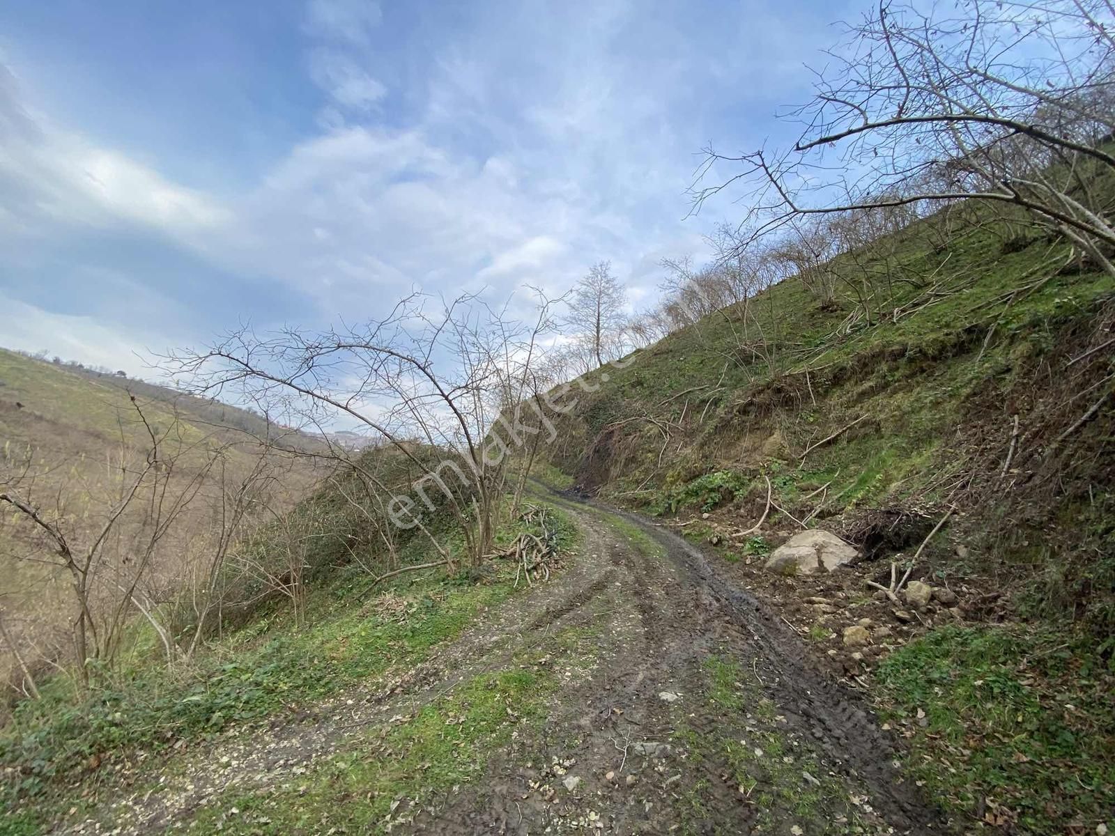 Safir'den Burhanettin'de 13.820m2 Fındık Bahçesi - Görsel 12