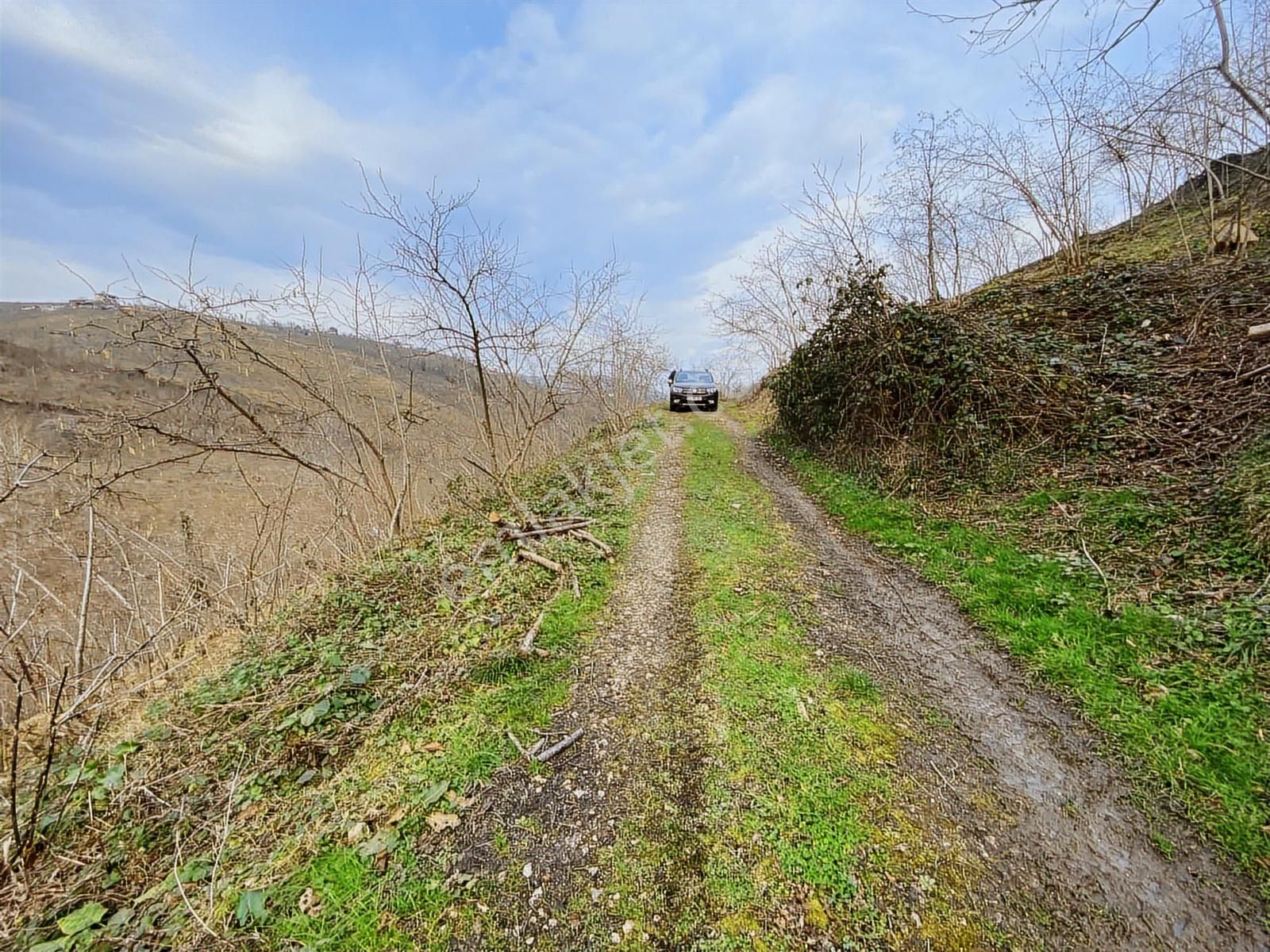 Safir'den Burhanettin'de 13.820m2 Fındık Bahçesi - Görsel 18