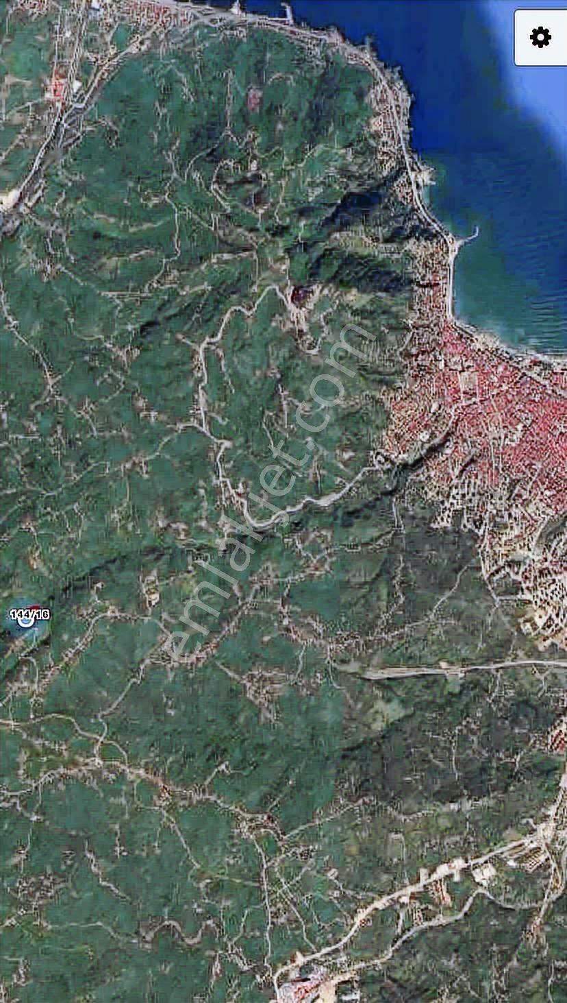 Safir'den Burhanettin'de 13.820m2 Fındık Bahçesi - Görsel 24