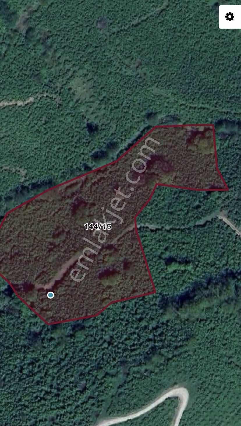 Safir'den Burhanettin'de 13.820m2 Fındık Bahçesi - Görsel 35