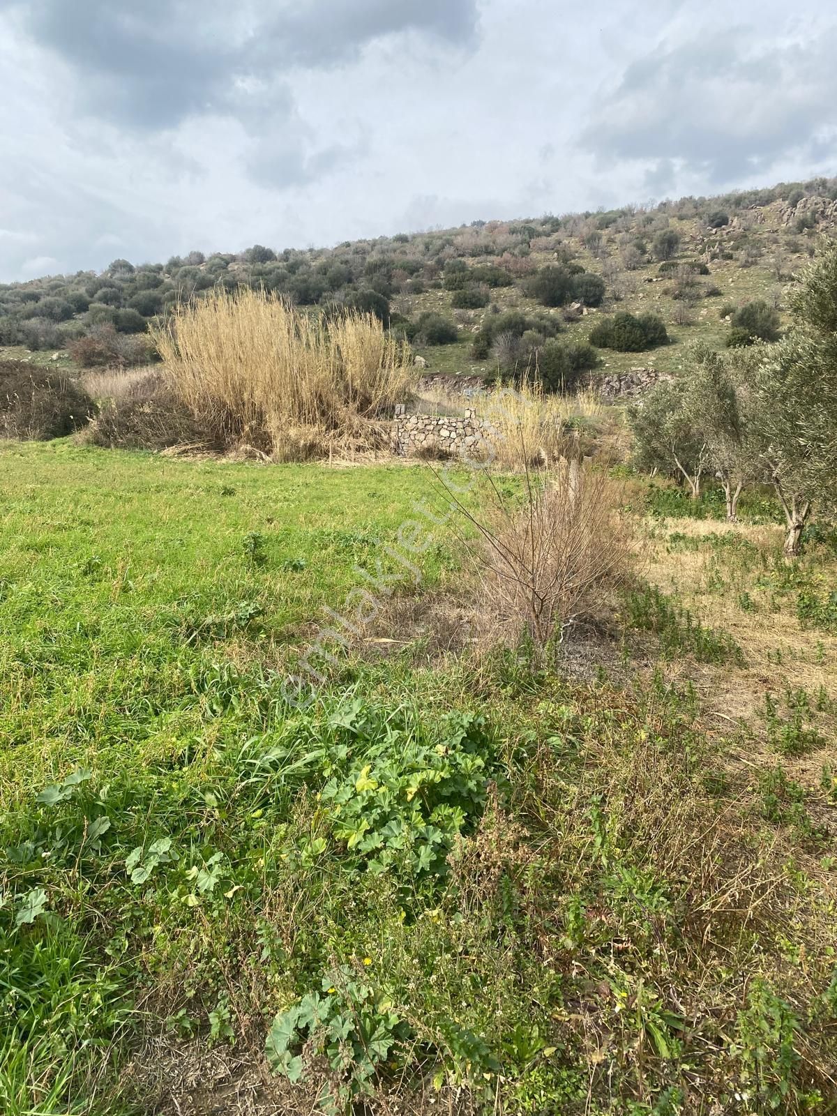 Menemen Süleymanlıda Gediz Nehri Kenarında Satılık Hobi Bahçesi - Görsel 9