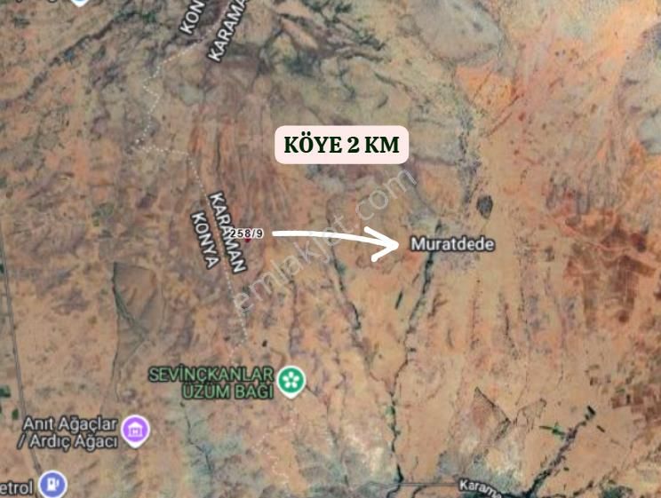 Karaman Merkez Muratdede Köyünde 6.495 M² Bağ Satılıktır - Görsel 4