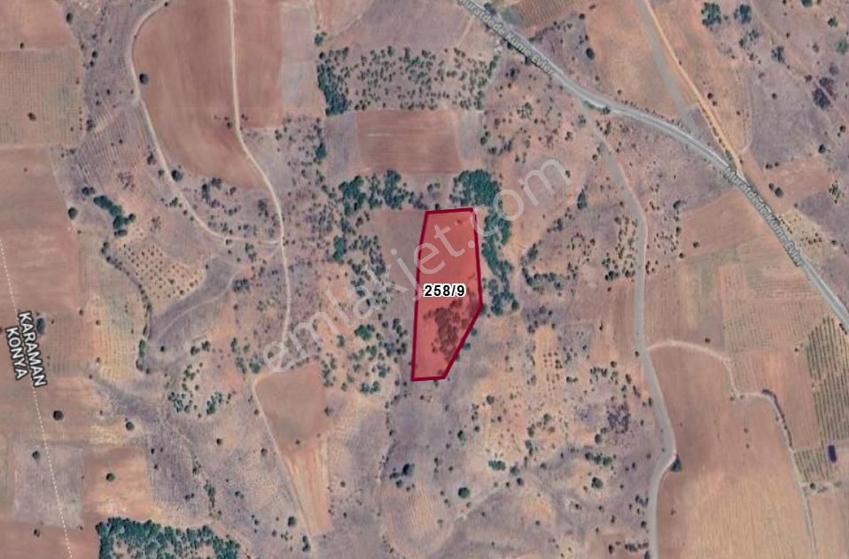 Karaman Merkez Muratdede Köyünde 6.495 M² Bağ Satılıktır