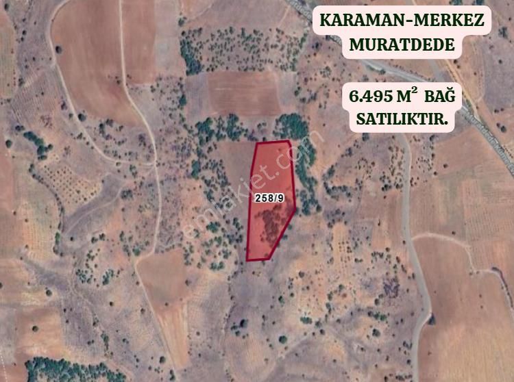 Karaman Merkez Muratdede Köyünde 6.495 M² Bağ Satılıktır - Görsel 2