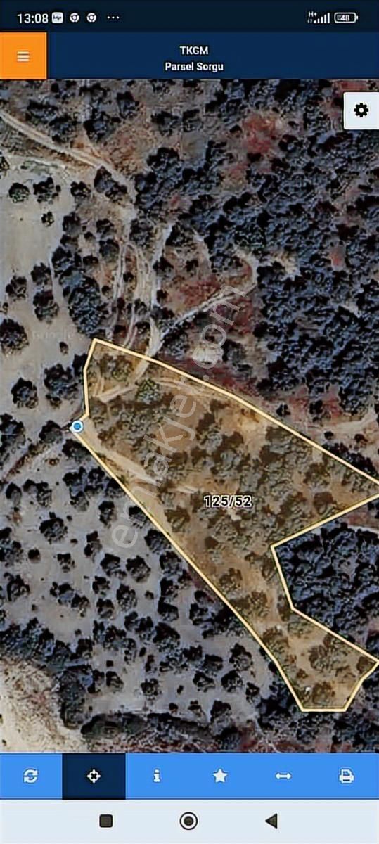 Hıdırbeyli De Satılık Verimli Zeytinlik - Görsel 13