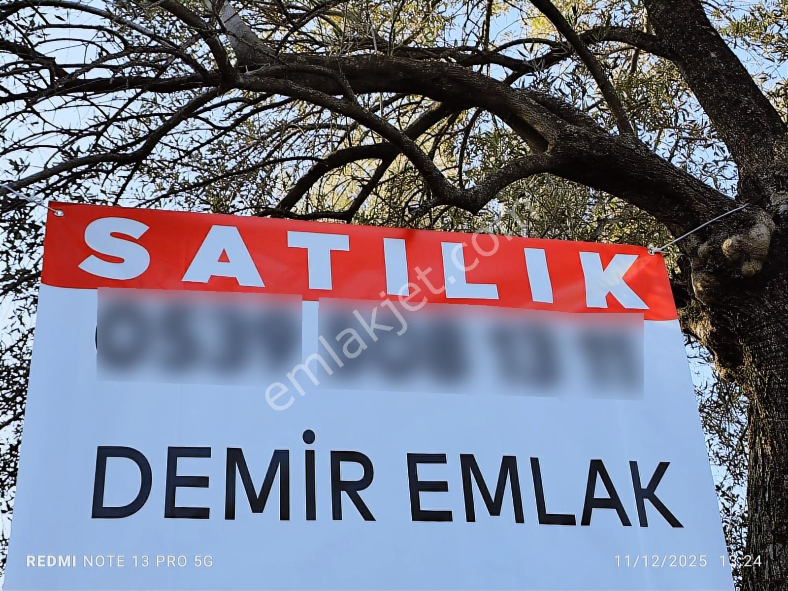 Hıdırbeyli De Satılık Verimli Zeytinlik - Görsel 10