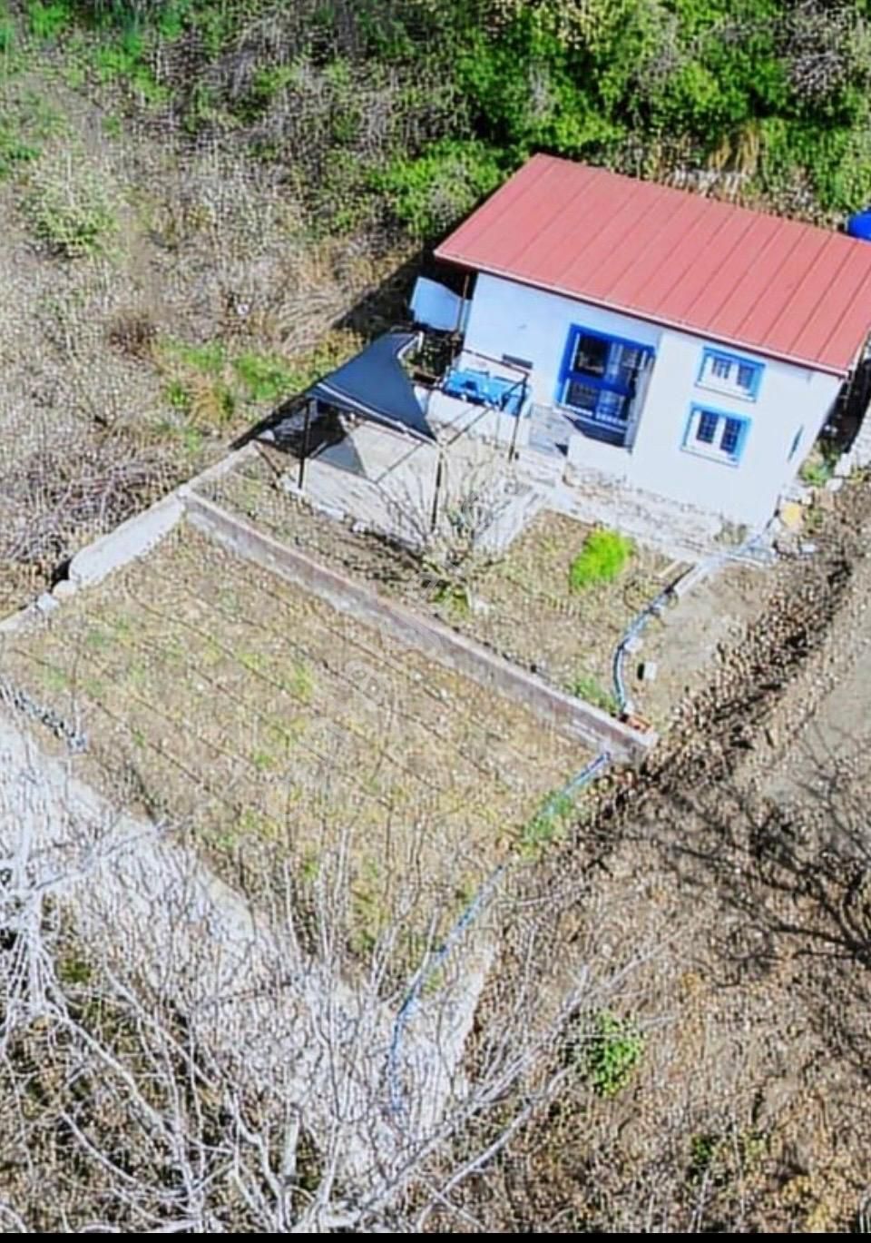 Selçuk Kireçlide Satılık Bahçe Bu Fiyata Yok - Görsel 3