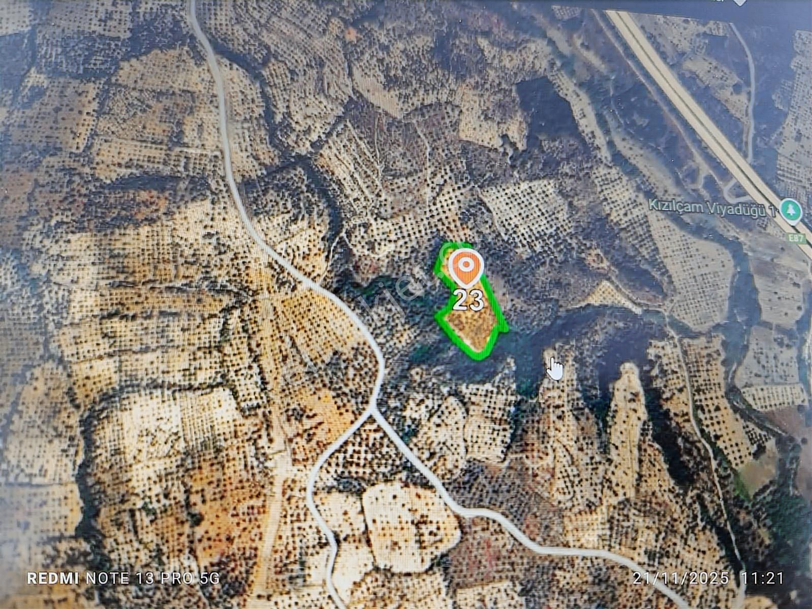 Germencik Dereköy Mevki Satılık Zeytinlik - Görsel 3