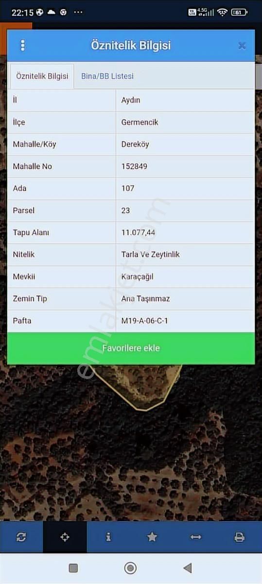 Germencik Dereköy Mevki Satılık Zeytinlik