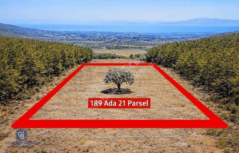 Urla Kuşçularda Prestijli Yatırım Fırsatı