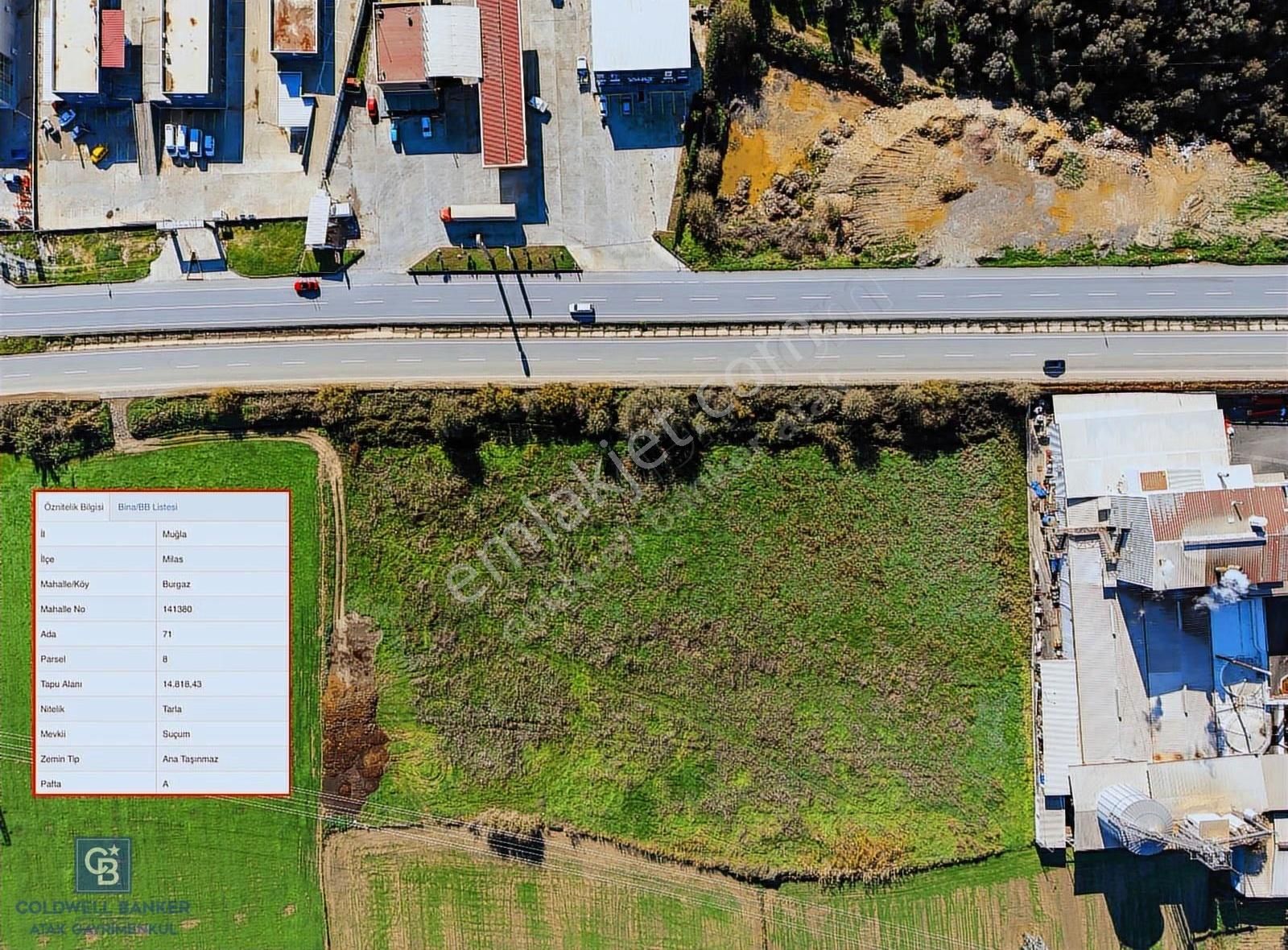 Muğla Milas'da Ana Yola 150 Metre Cepheli Satılık Tarla - Görsel 10