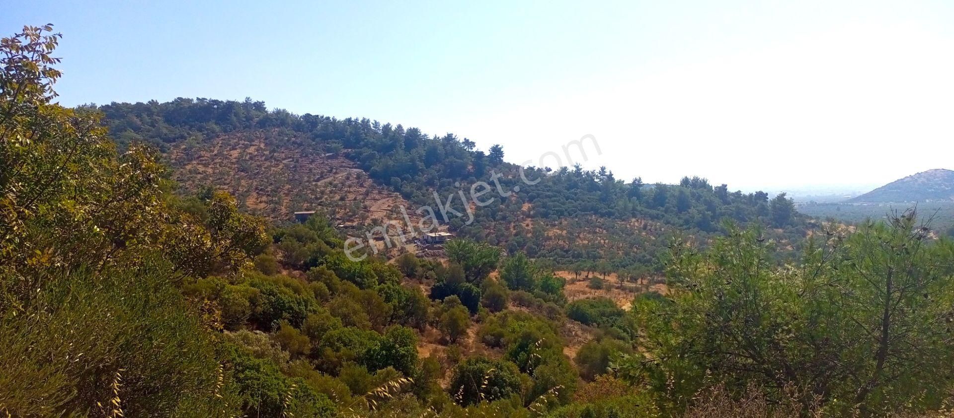 Torbalı Emlak'tan Yatırımlık Bayındır Arıkbaşı'nda 6300m2 Arazi Satılıktır - Görsel 19