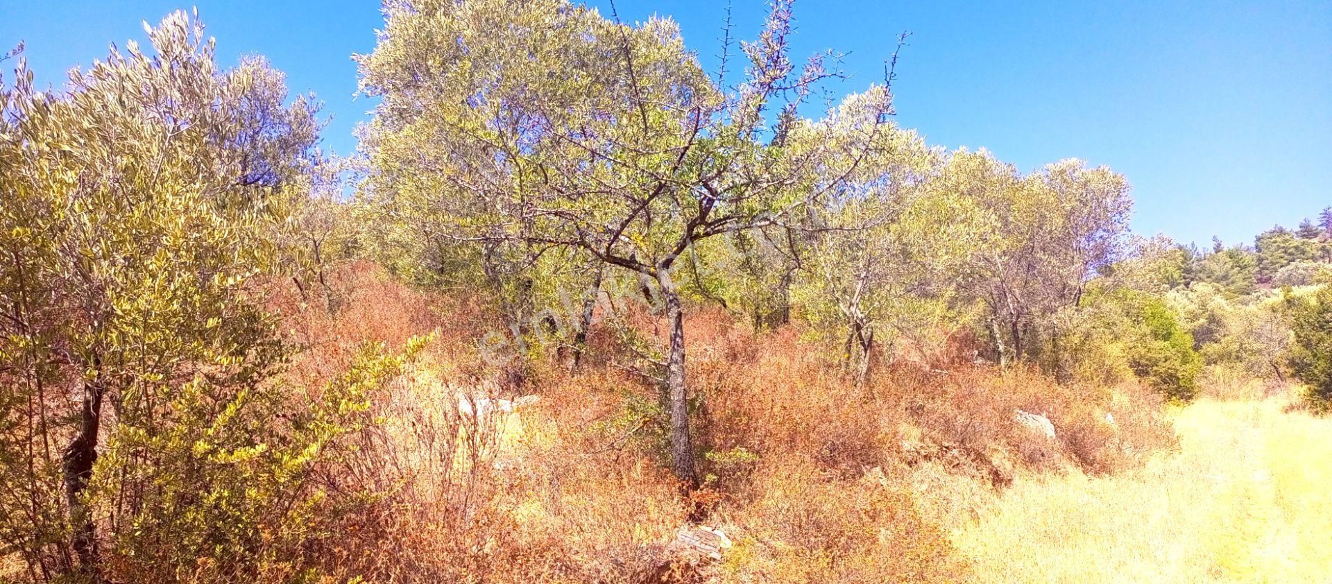 Torbalı Emlak'tan Yatırımlık Bayındır Arıkbaşı'nda 6300m2 Arazi Satılıktır - Görsel 10