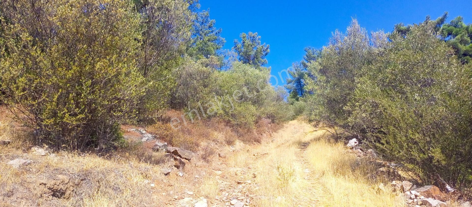Torbalı Emlak'tan Yatırımlık Bayındır Arıkbaşı'nda 6300m2 Arazi Satılıktır - Görsel 18