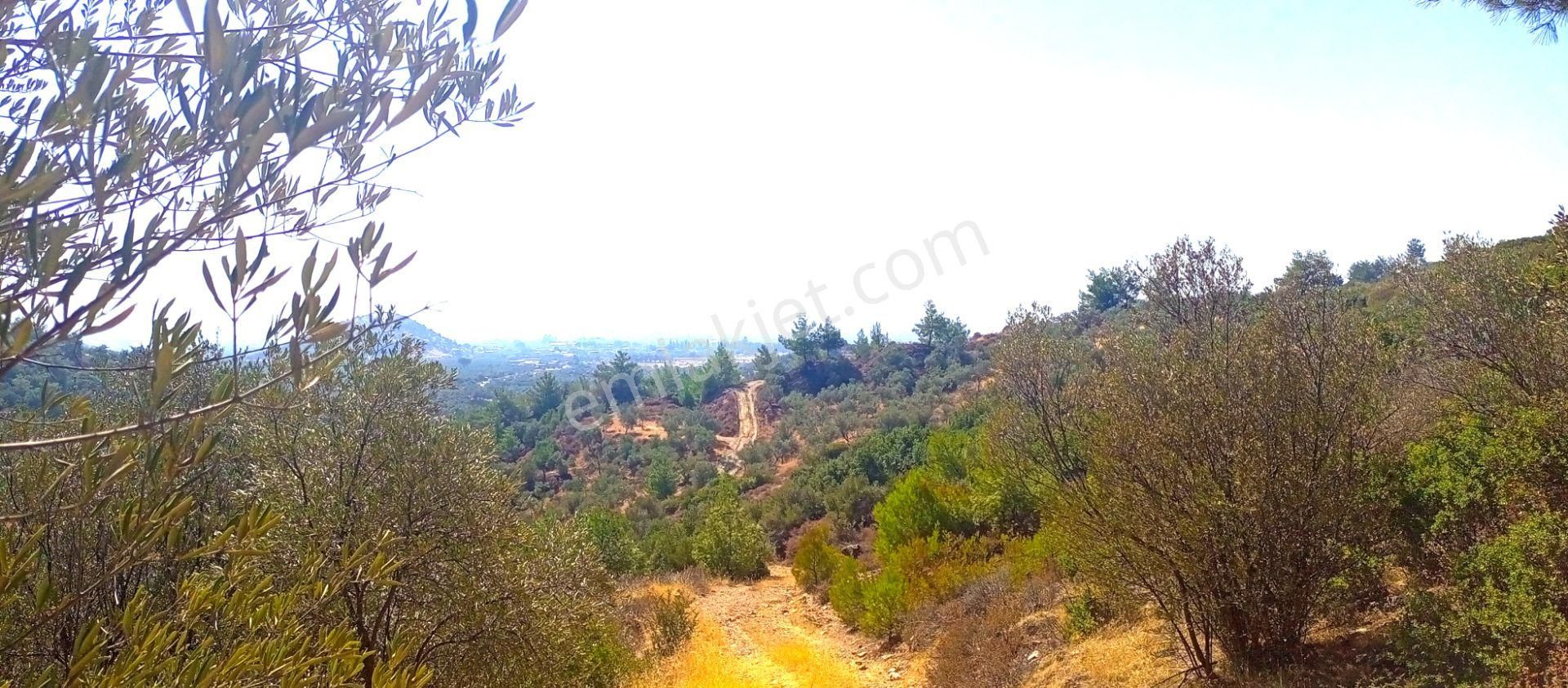 Torbalı Emlak'tan Yatırımlık Bayındır Arıkbaşı'nda 6300m2 Arazi Satılıktır - Görsel 6