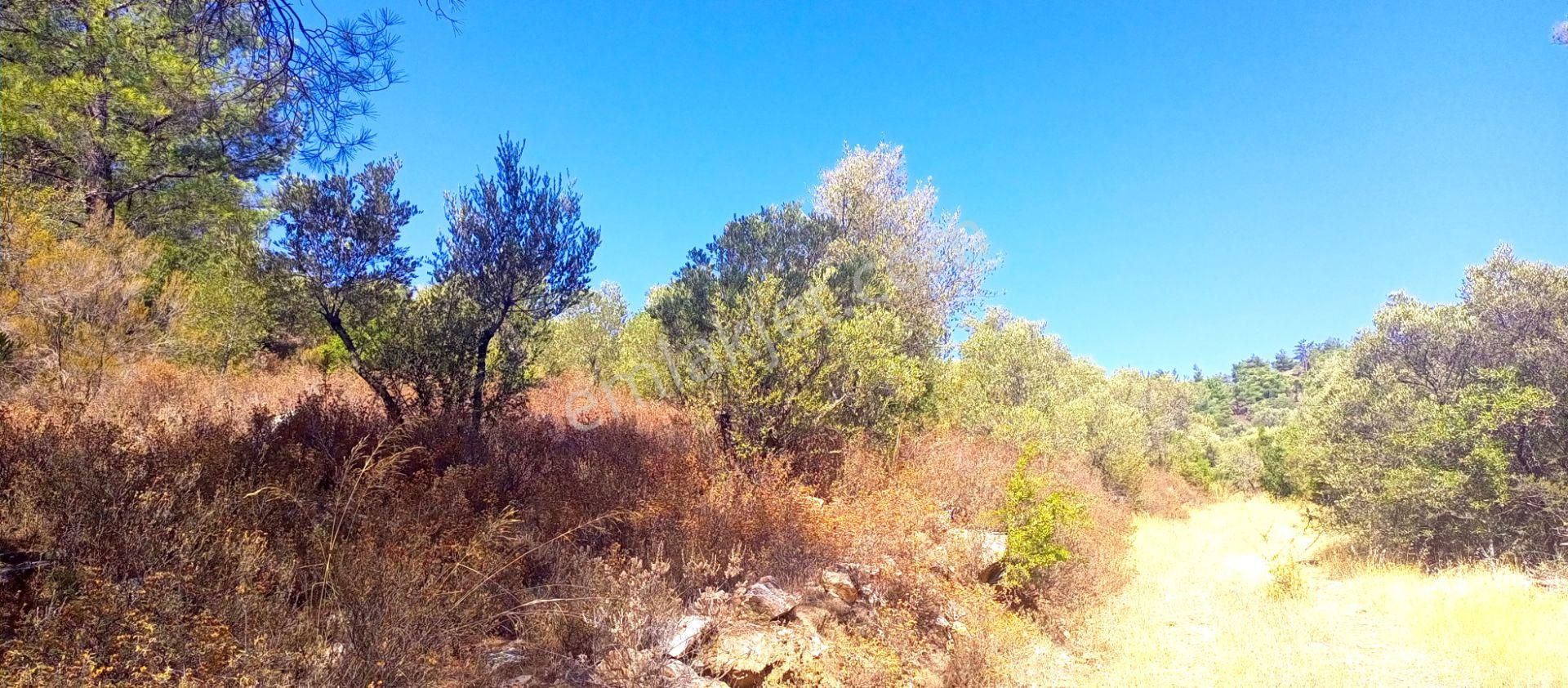 Torbalı Emlak'tan Yatırımlık Bayındır Arıkbaşı'nda 6300m2 Arazi Satılıktır - Görsel 7