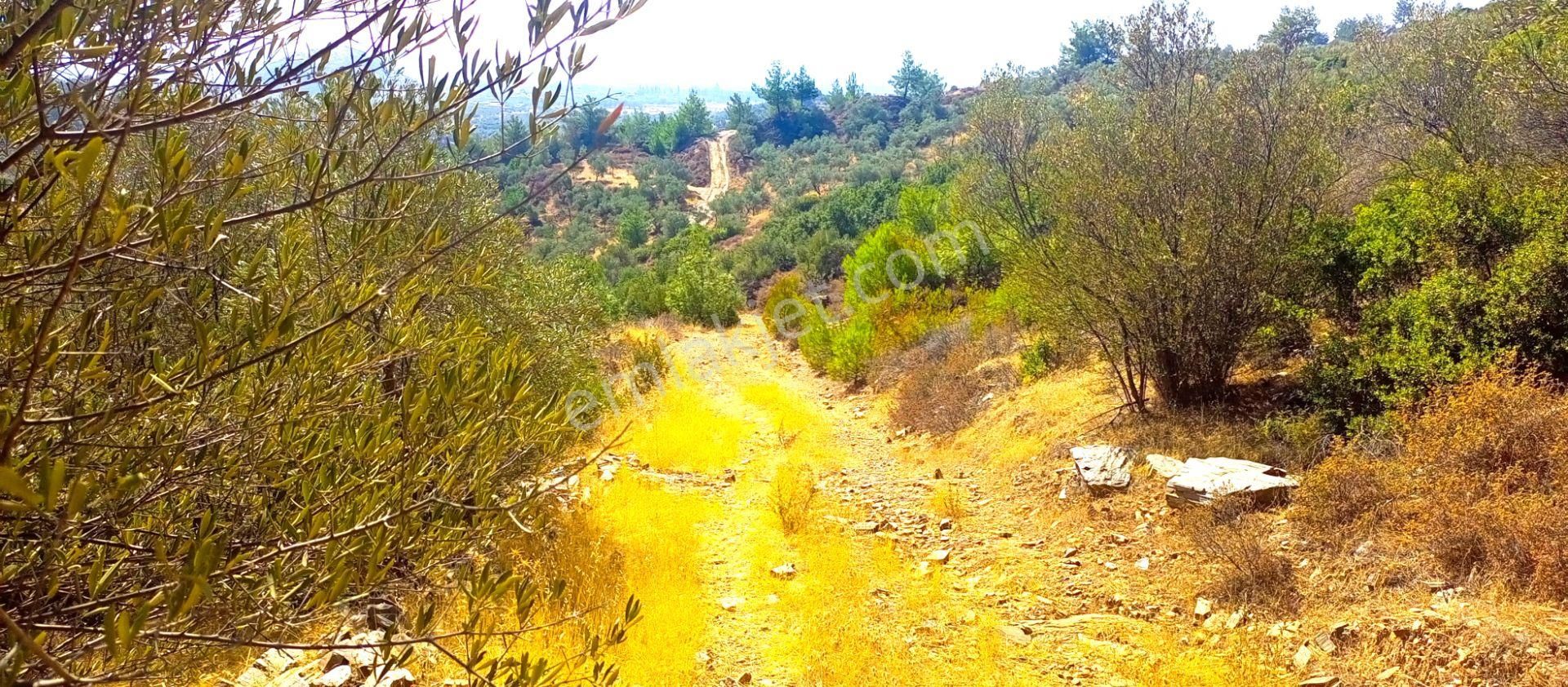Torbalı Emlak'tan Yatırımlık Bayındır Arıkbaşı'nda 6300m2 Arazi Satılıktır - Görsel 5