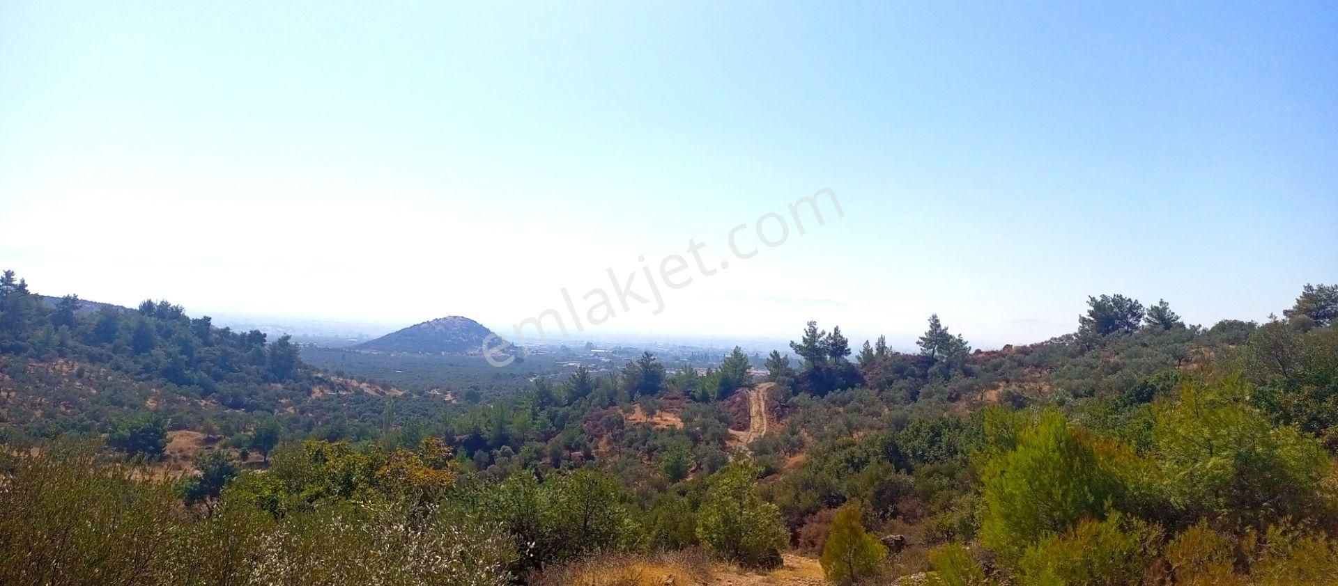 Torbalı Emlak'tan Yatırımlık Bayındır Arıkbaşı'nda 6300m2 Arazi Satılıktır - Görsel 16